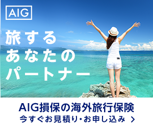 AIG海外旅行保険